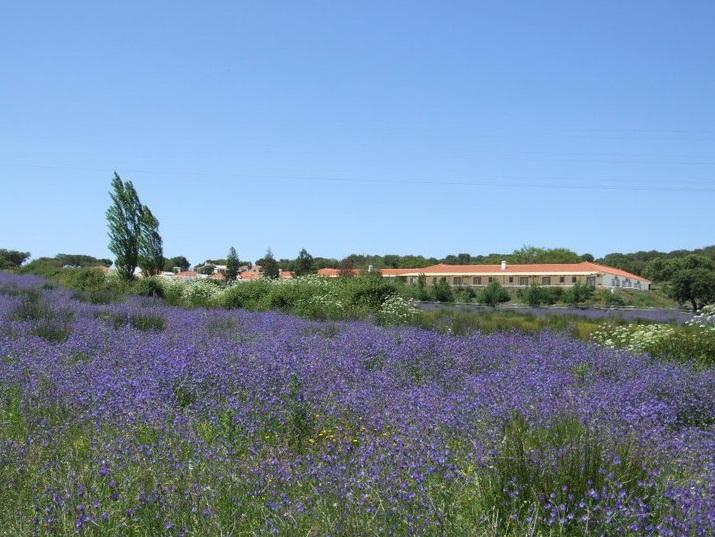 Hotel Rural Da Ameira Montemor-o-Novo Extérieur photo