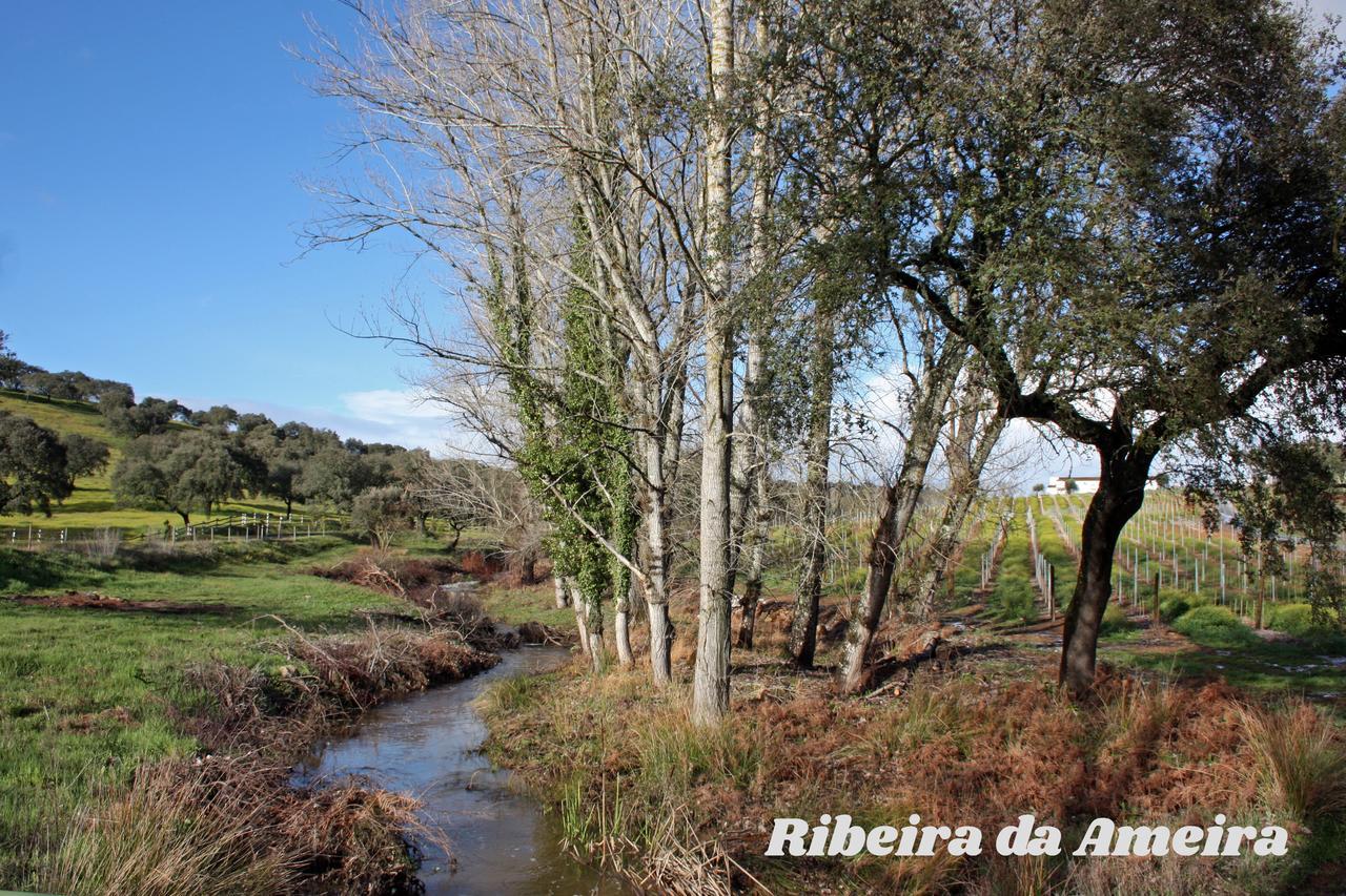 Hotel Rural Da Ameira Montemor-o-Novo Extérieur photo